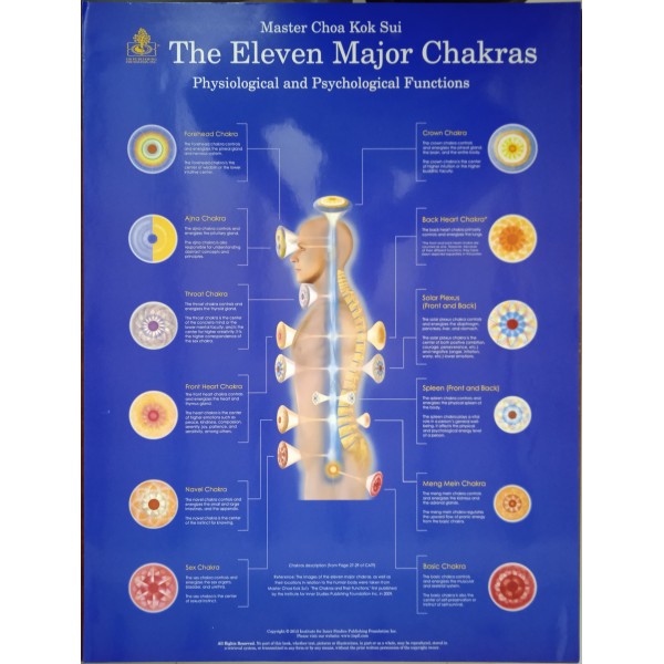 Eleven Major Chakras Poster