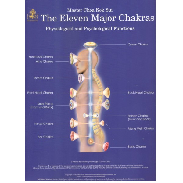 Eleven Major Chakras Poster SMALL